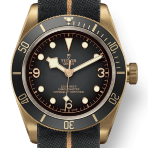 튜더 블랙 베이 브론즈 M79250BA-0002 [43mm]