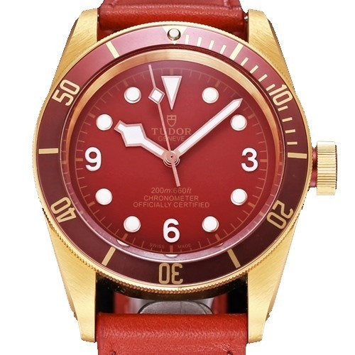 튜더 블랙 베이 M79250BM [43mm]