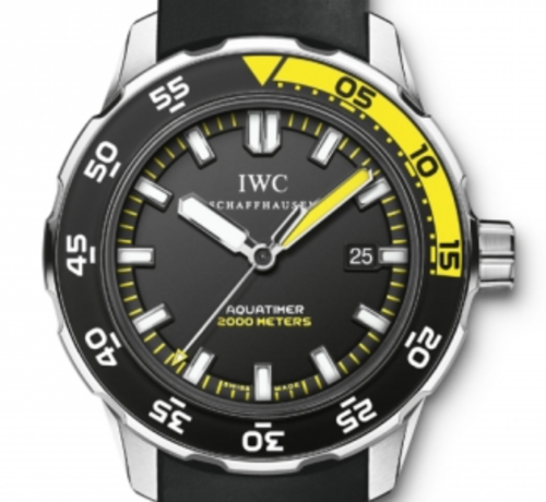 IWC 아쿠아타이머 오토매틱 2000 IW356802 [44mm]