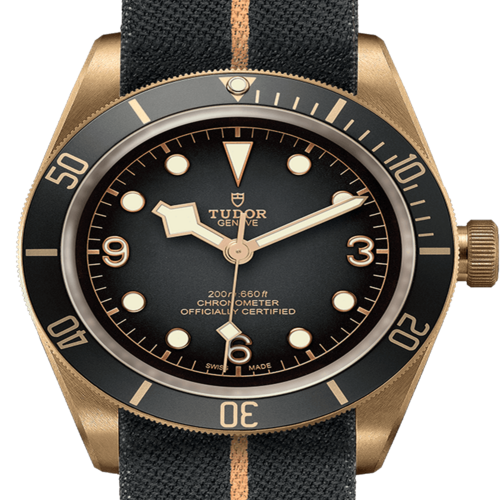 튜더 블랙 베이 M79250BA-0002 [43mm]