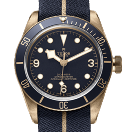 튜더 블랙 베이 M79250BB-0001 [43mm]